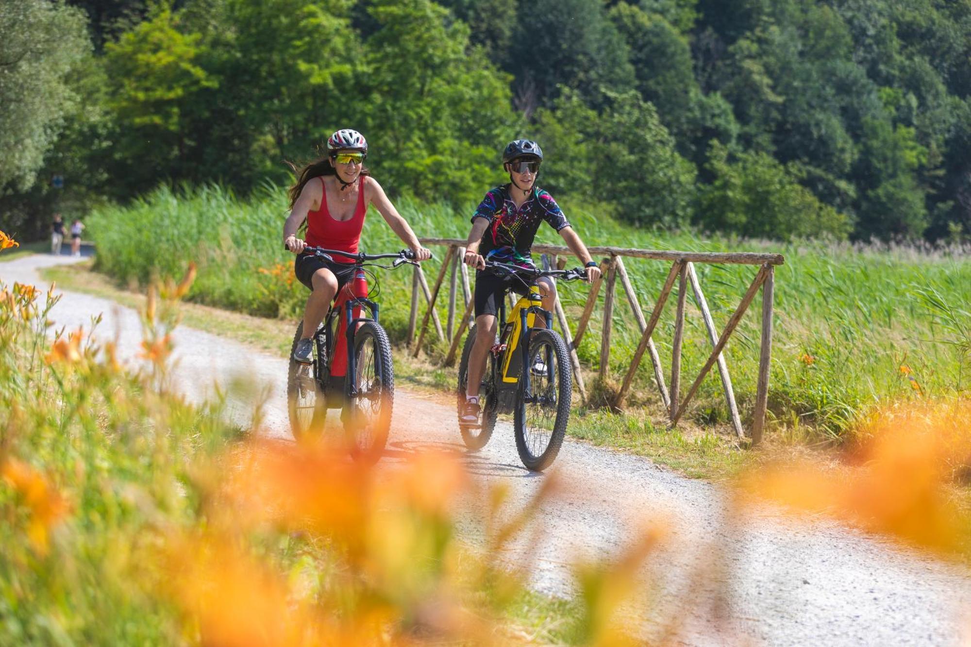 I Laghee Casette Breva E Tivano -Garden-Parking-Lake View - Bike Friendly Holiday House Colico Zewnętrze zdjęcie